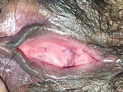 Esposa videos xxx gratis de cría, coño haciendo el hablar