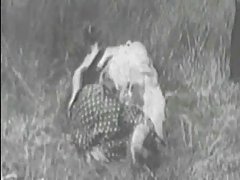 Vintage sexo porno Erotica Circa 1930 # 10