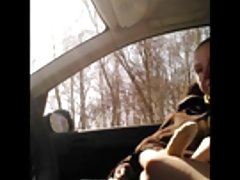Perras zorras una abuela que destella en un coche