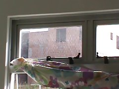 exhibicionismo xporno gratis 1