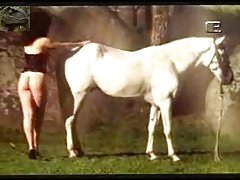 Ver videos pornográficos porno vintage brasileña