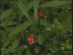 BBW ver videos de sexo ébano folla un enano y un hombre de tamaño completo