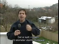 ladiesman486-27 putas gratis 