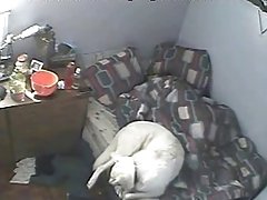 cam xxx putas videos oculta amateur 4