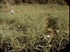 Videos puta locura al aire libre de la vendimia